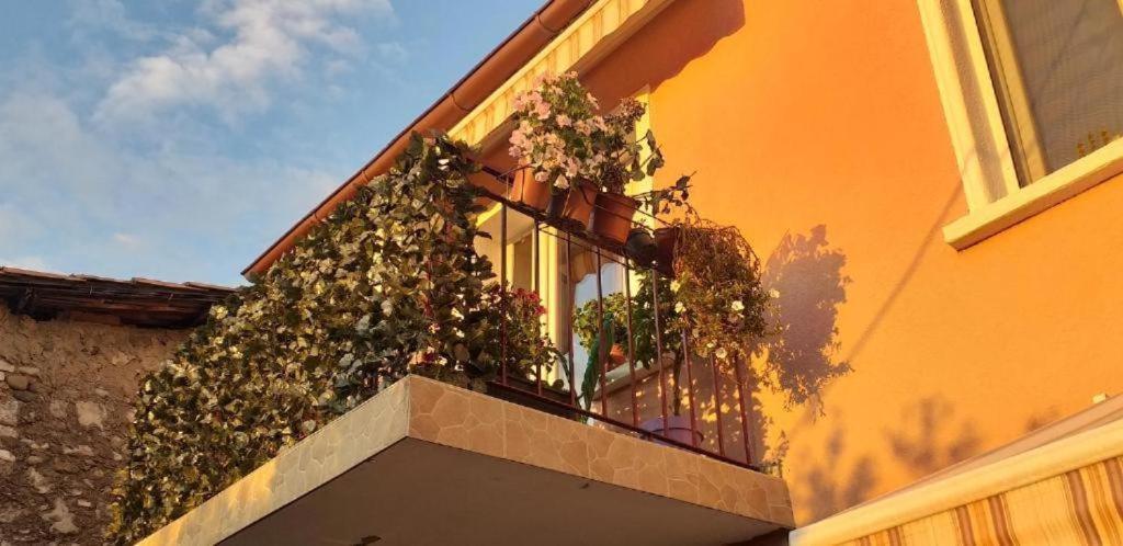 Grand Park Rooms Podgorica Zewnętrze zdjęcie